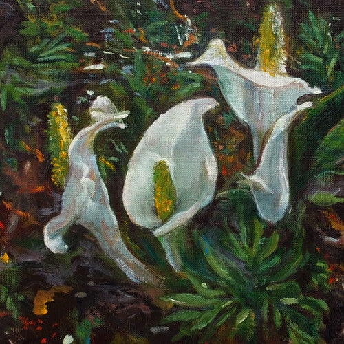 せせらぎ水芭蕉